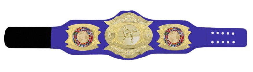 *NEW* PROGEMELITE THAI BOXING CHAMPIONSHIP BELT - PROGEMELITE/G/TBOG *NEW* PROGEMELITE THAI BOXING CHAMPIONSHIP BELT - PROGEMELITE/G/TBOG